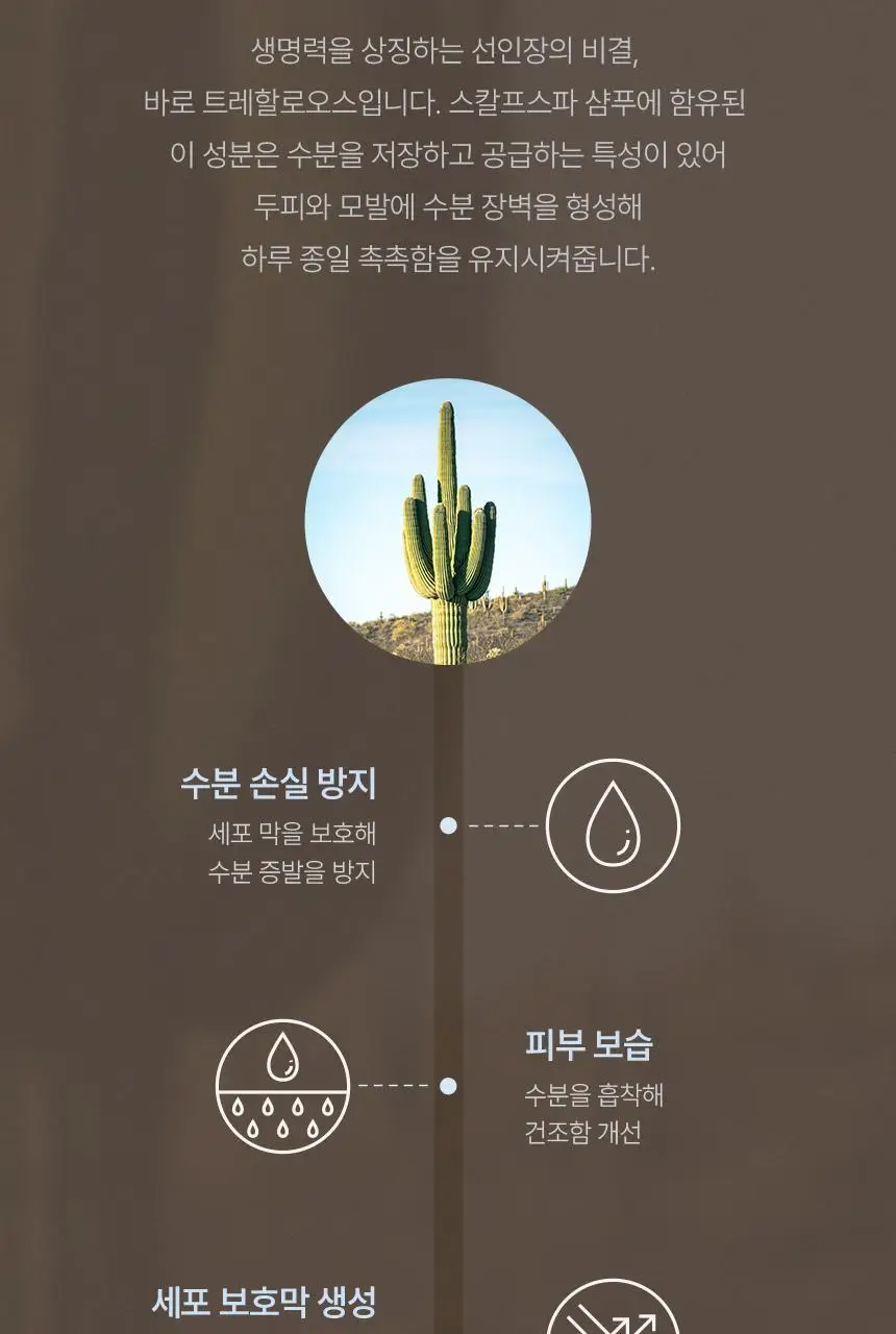[신규런칭/모발빠짐고민] 이드르르 스칼프스파 샴푸 390ml 상세페이지 59
